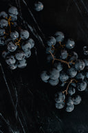 A great wine doesn’t need the spotlight. It needs the right beginning.